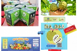 Quảng Ninh đã thành lập 1.421 tổ công nghệ số cộng đồng