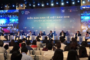 Đâu là con át chủ bài của nông nghiệp Việt Nam?
