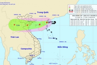 Bão số 4 sắp đổ bộ từ Quảng Ninh đến Nghệ An