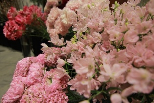 Chiêm ngưỡng 5.000 loại hoa tươi Nhật Bản tại The Japanese Bloom 2018