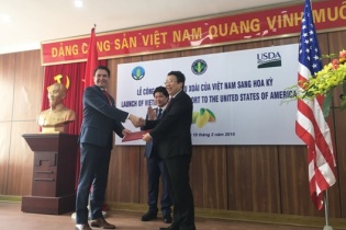 Trái xoài Việt Nam chính thức được xuất khẩu vào Hoa Kỳ