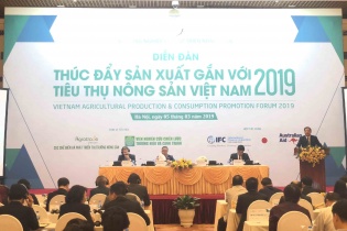 Dự báo năm 2019 xuất khẩu nông sản sẽ gặp nhiều khó khăn