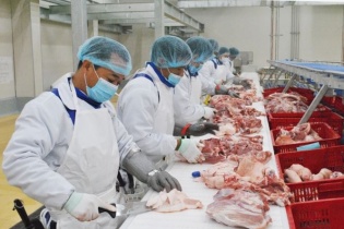 Ngành nông nghiệp tăng trưởng khá dù bị ảnh hưởng từ dịch tả lợn Châu phi