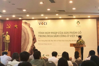 Kiểm soát nguồn gốc gỗ trong đấu thầu cung ứng cho khu vực mua sắm công