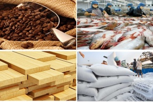 Kim ngạch xuất khẩu nông, lâm, thuỷ sản 6 tháng đầu năm 2019 đạt 19,8 tỷ USD