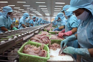 Thuỷ sản Hùng Vương báo lỗ 129 tỷ đồng trong quý III/2019