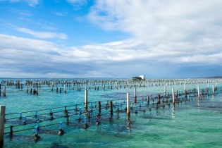 Dự kiến đầu tư 8.359 tỷ đồng cho dự án Phát triển thủy sản bền vững