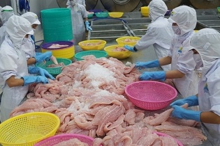 Xuất khẩu cá tra sang Bỉ dự báo duy trì tăng trưởng cao
