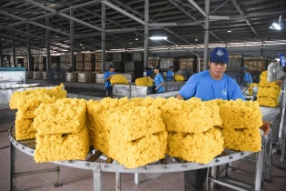 Tác động từ chiến tranh thương mại, xuất khẩu cao su cuối năm sẽ khó khăn