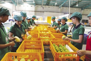 Bộ trưởng Nông nghiệp: Không cải thiện khâu chế biến thì sẽ còn tình trạng "giải cứu" nông sản