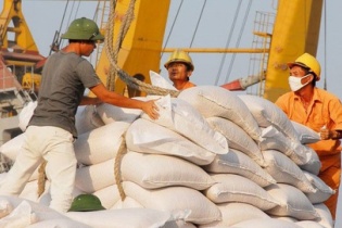 Soi sức khoẻ doanh nghiệp gạo khi xuất khẩu gạo “bốc hơi” gần 10% giá trị   