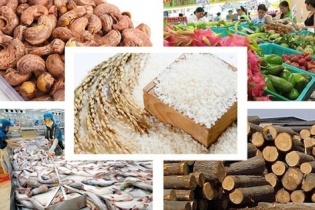 Vượt qua “giông bão”, 2019 xuất khẩu nông sản sẽ đạt kỷ lục với kim ngạch 41,3 tỷ USD