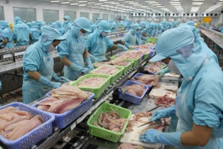 Thủy sản Cửu Long An Giang báo lãi quý 4/2019 “tụt dốc” 87%, cổ phiếu theo đà giảm sâu
