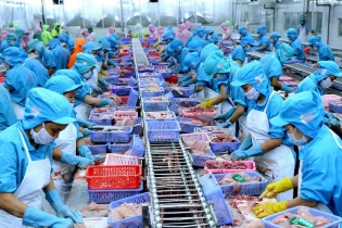 Thuỷ sản Nam Việt: Lợi nhuận vượt kế hoạch, giá cổ phiếu vẫn "dò đáy"