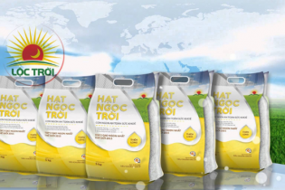 Lộc Trời không hoàn thành mục tiêu 2019, quý IV lợi nhuận sụt giảm mạnh hơn 42%