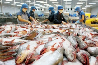Ảnh hưởng bởi dịch Covid-19, doanh nghiệp thủy sản sụt giảm đơn hàng 