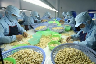 Vinacas: Doanh nghiệp điều nên bình tĩnh, không bán tháo