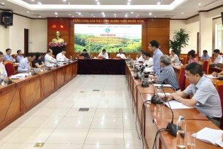 Doanh nghiệp gỗ kiến nghị tháo gỡ các điều kiện của chính sách hỗ trợ người lao động 