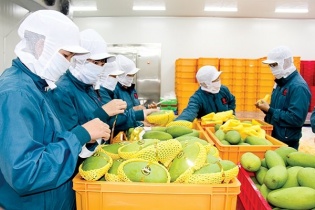 5 tháng đầu năm, Trung Quốc nhập khẩu gần 3,7 tỷ USD hàng nông sản Việt Nam