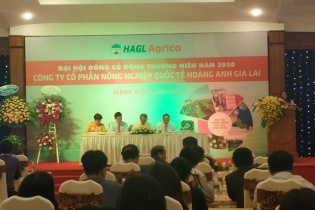 Bầu Đức đầu tư phát triển chuối, cao su duy trì chờ giá lên