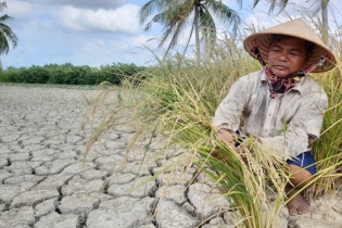 Nửa đầu năm 2020, thiên tai gây thiệt hại hơn 3.300 tỷ đồng