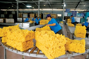 Xuất khẩu cao su 6 tháng đầu năm giảm mạnh, chỉ đạt hơn 600 triệu USD