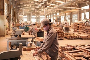 EVFTA giúp ngành gỗ tăng trị giá vào thị trường EU 