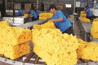 Thu 300 tỷ bồi thường đất, Cao su Phước Hòa báo lãi quý II tăng gấp 5,2 lần