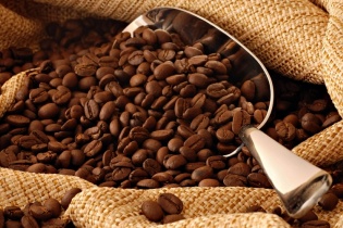 Các nước EU tăng mua cà phê Việt Nam 