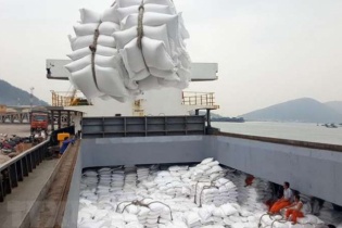 Doanh nghiệp xuất khẩu chính thức có "giấy thông hành" đưa gạo vào EU 