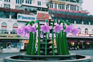  Sở Văn hóa Thông tin Hà Nội chính thức lên tiếng về "dàn hoa lạ" tại Hồ Gươm