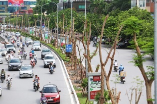 Hà Nội đã chi 256 tỷ đồng cho việc phủ xanh đô thị