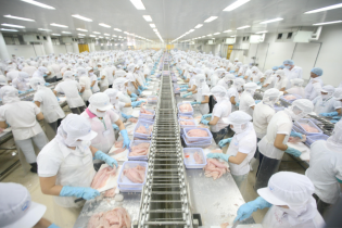 Ngành công nghiệp chế biến, chế tạo của Hà Nội tăng trưởng 7,8%