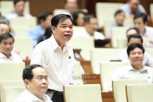 Bộ trưởng Nông nghiệp: Không có lý gì cứ tập trung ăn thịt lợn 