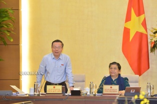 Thi người đẹp, người mẫu còn không ít lùm xùm, quản lý thế nào?