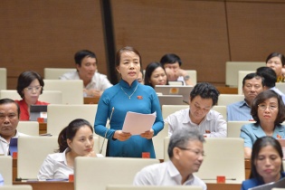 Quốc hội giám sát những gì trong năm chuyển giao nhiệm kỳ?