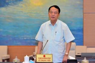 Đề xuất trừ điểm giấy phép lái xe, đấu giá biển số xe   