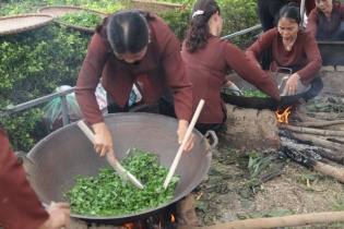 Lễ hội trà Tân Cương tiếp tục lỡ hẹn vì Covid-19