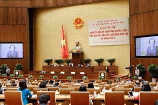 Cần thu hồi danh hiệu đối với nghệ sĩ lệch chuẩn