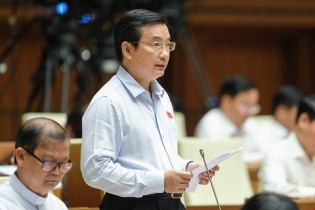 Không nên quy định có kinh tế ổn định và phát triển mới là "gia đình văn hoá"