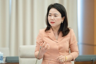 Không thể dùng cơ chế hành chính thu hồi đất cho dự án vì mục tiêu lợi nhuận