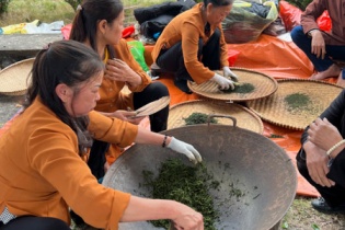 Hợp tác xã có thể được góp vốn, mua cổ phần, thành lập doanh nghiệp