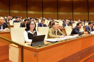 Tỷ lệ nữ lãnh đạo cơ quan thuộc Chính phủ còn cách xa mục tiêu