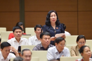 Những bất thường “chưa từng thấy” của doanh nghiệp lên nghị trường