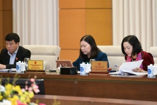 Cần thiết luật hóa quy định đấu giá biển số xe ô tô