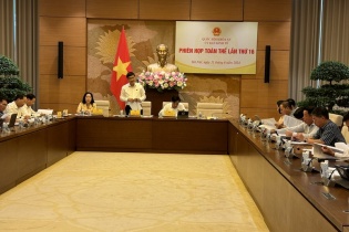 Làm rõ nguyên nhân tăng diện tích rừng, đất rừng phải chuyển đổi khi làm cao tốc Bắc - Nam phía Đông
