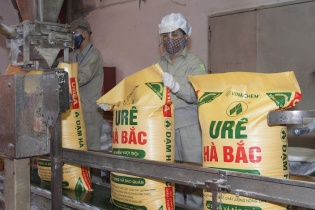 Tiếp tục cân nhắc lợi - hại việc áp thuế VAT với phân bón