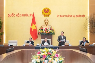 Thành lập Thành phố Phú Mỹ thuộc tỉnh Bà Rịa - Vũng Tàu