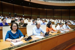 Bỏ toàn bộ thanh tra bộ, cục, thanh tra chuyên ngành