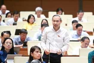 Đề nghị lập tổ chuyên gia rà soát độc lập toàn bộ văn bản quy phạm pháp luật